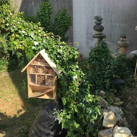 Apartment ღ Le Nid Cache - Cosy, Wifi & Exterieur *